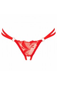Libertine thong - Luxury lingerie – Impudique Official Website